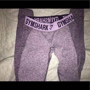 Gym shark leggings